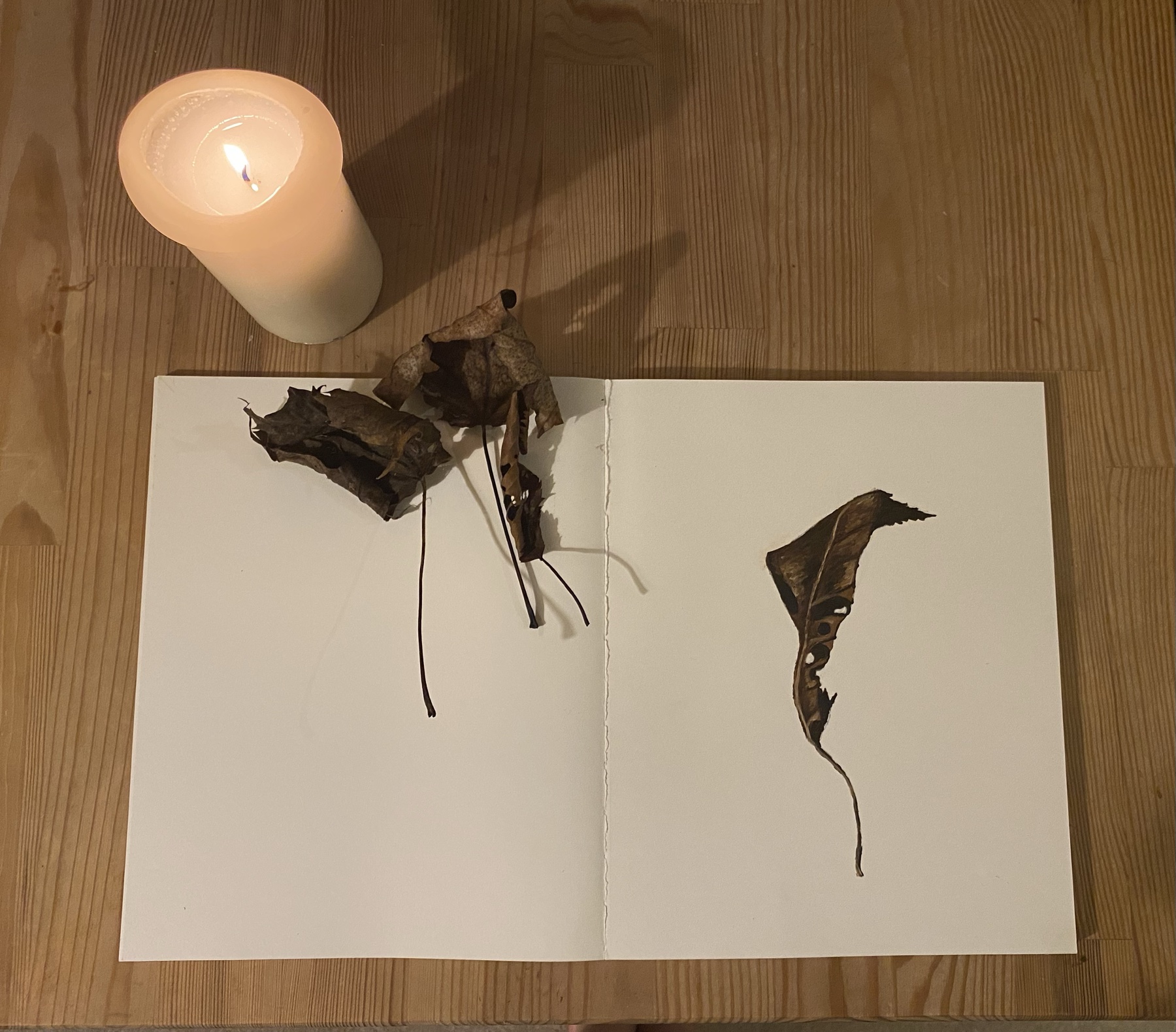 Still life by Jasmin Southgate: a painted fallen leaf in a sketchbook, beside a candle and dried leaves