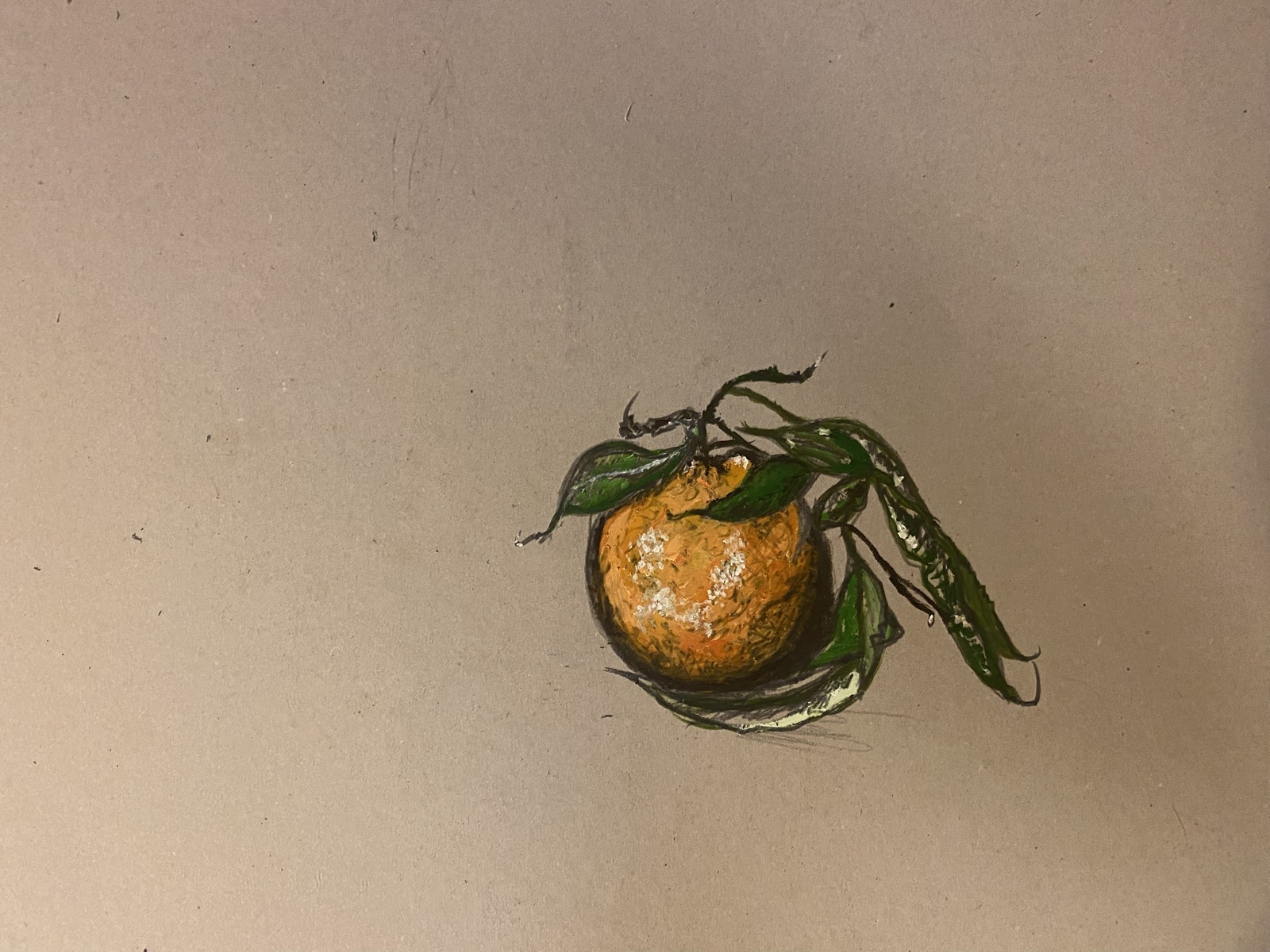Still life by Jasmin Southgate: a tangerine with its leaves on kraft card